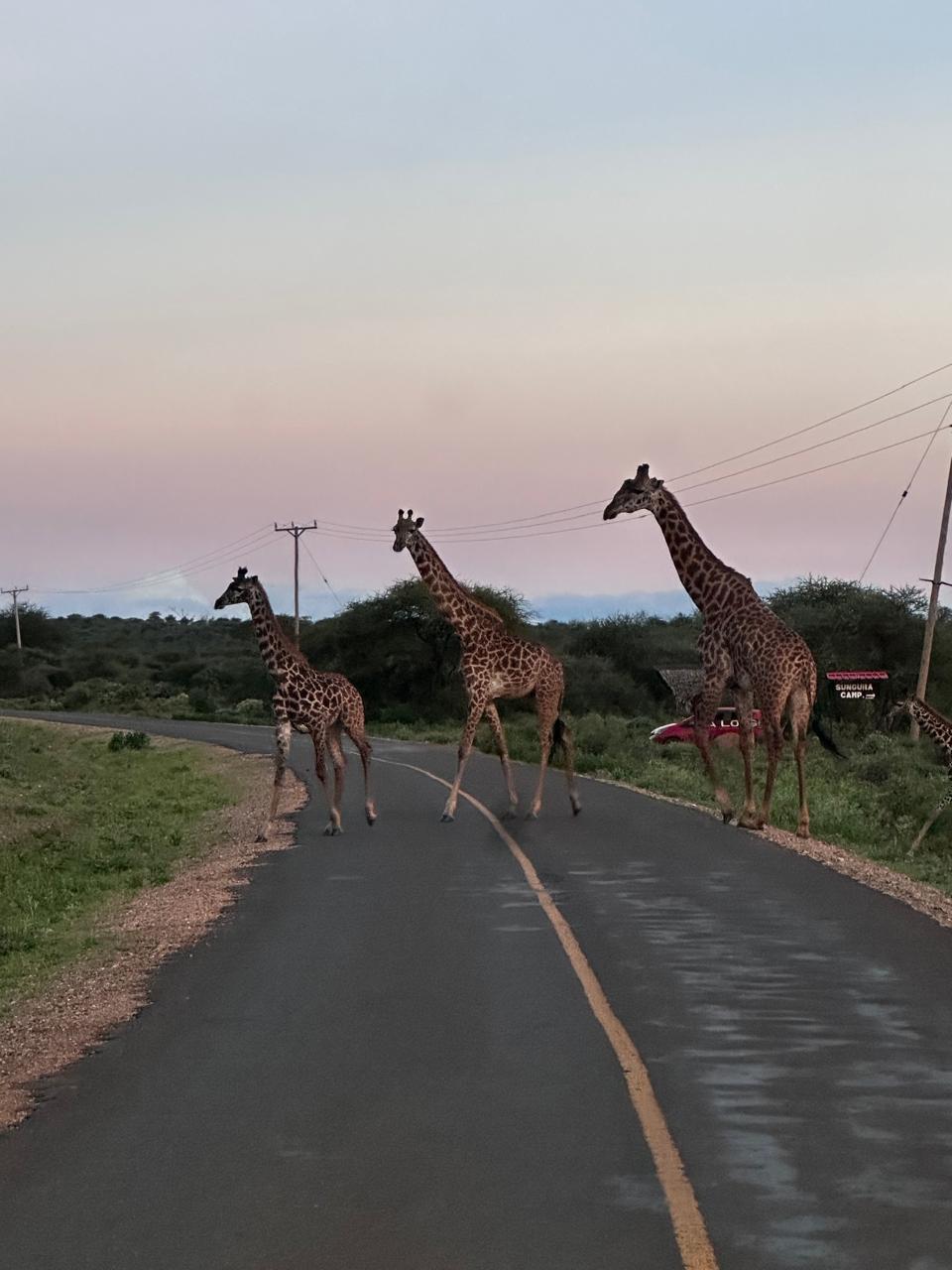 Tsavo National Park