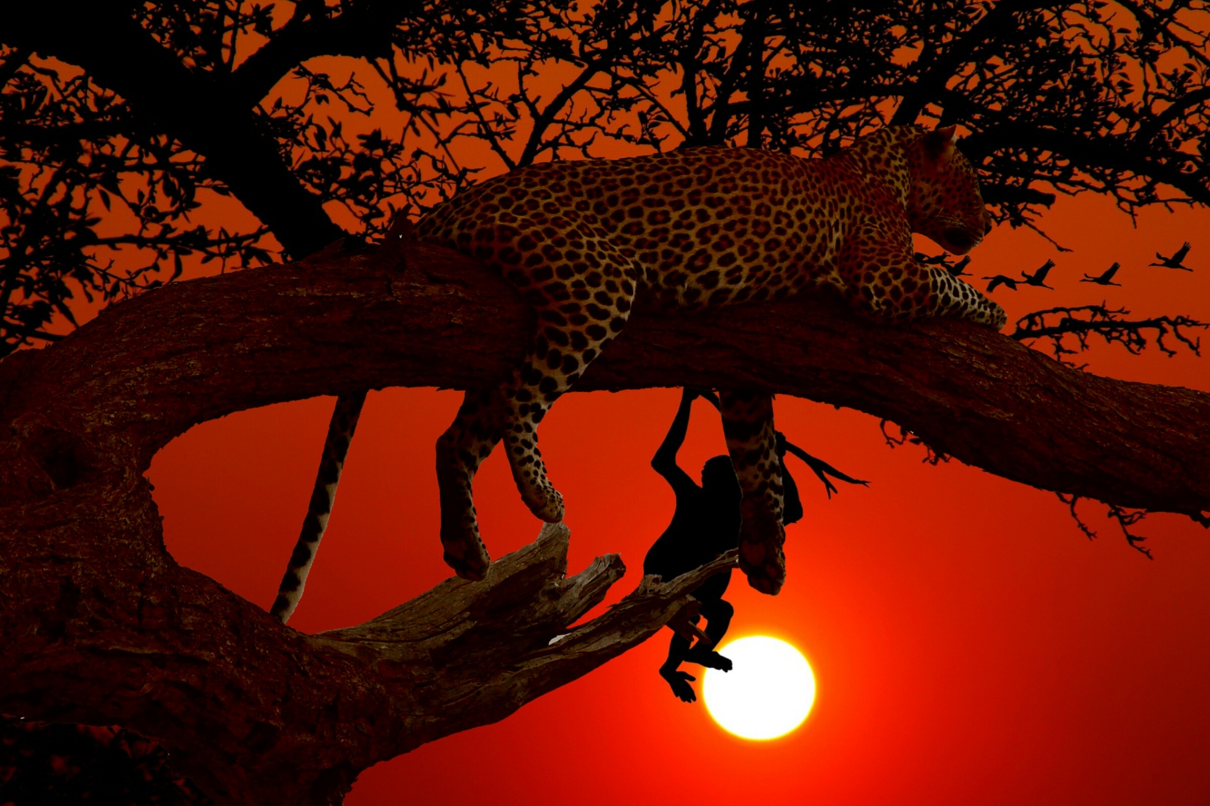 Samburu National Reserve