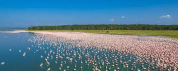 Lake Nakuru