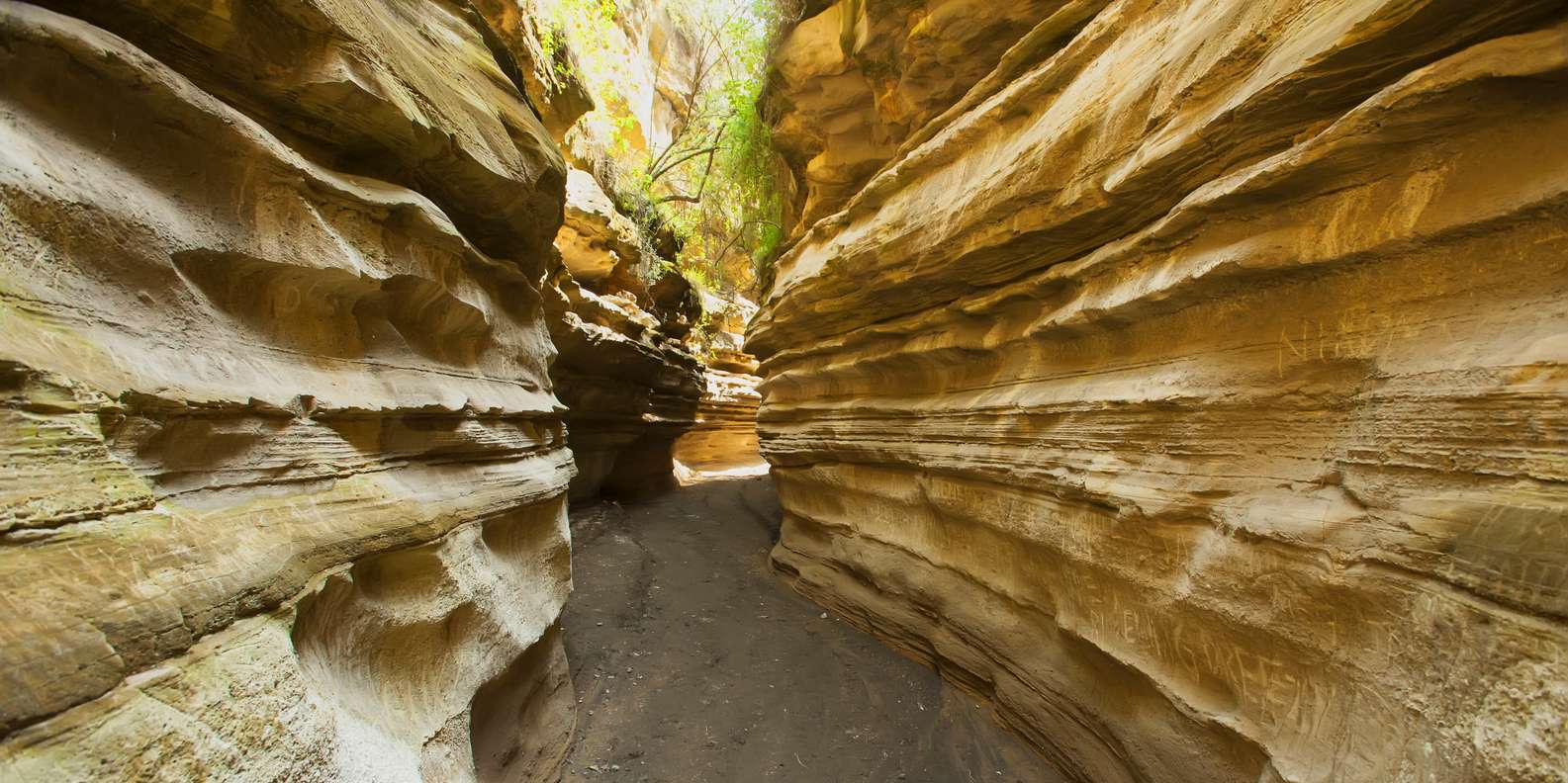 1-Day Lake Naivasha & Hell's Gate Tour
