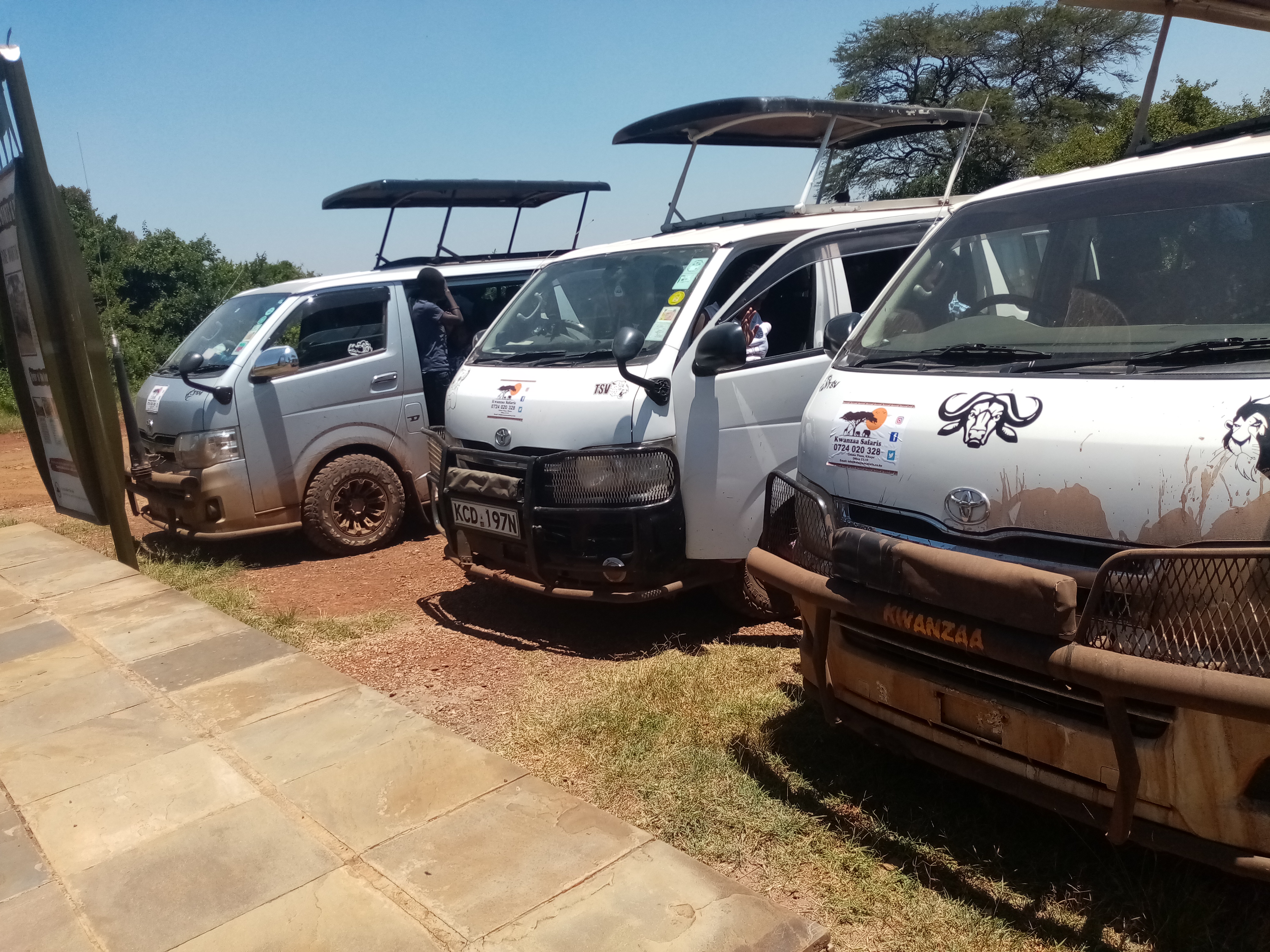 Nairobi to Maasai Mara: Best Ways to Travel, Costs & Travel Tips (2026)