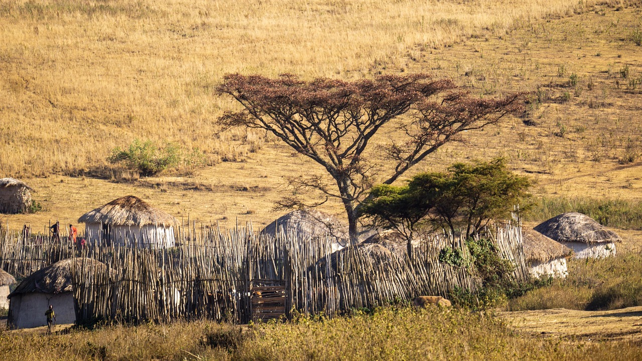 Maasai Village Experience