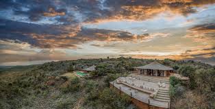 Best Safari for First-Time Visitors to Kenya: The Ultimate Beginner's Guide