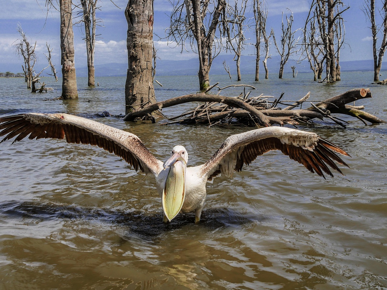 Lake Naivasha Travel Guide (2026): Things to Do, Wildlife & Best Time to Visit