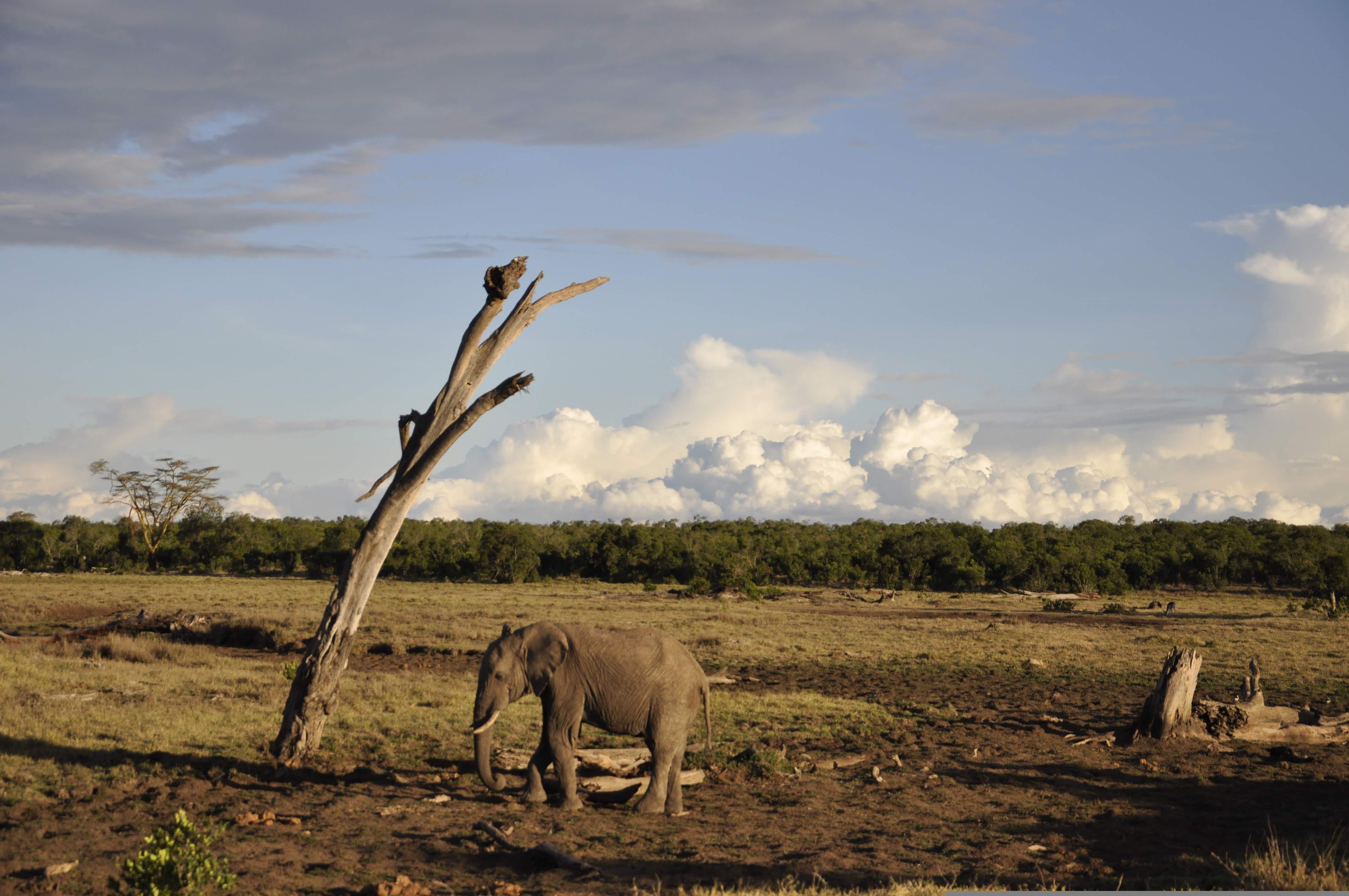 Nanyuki