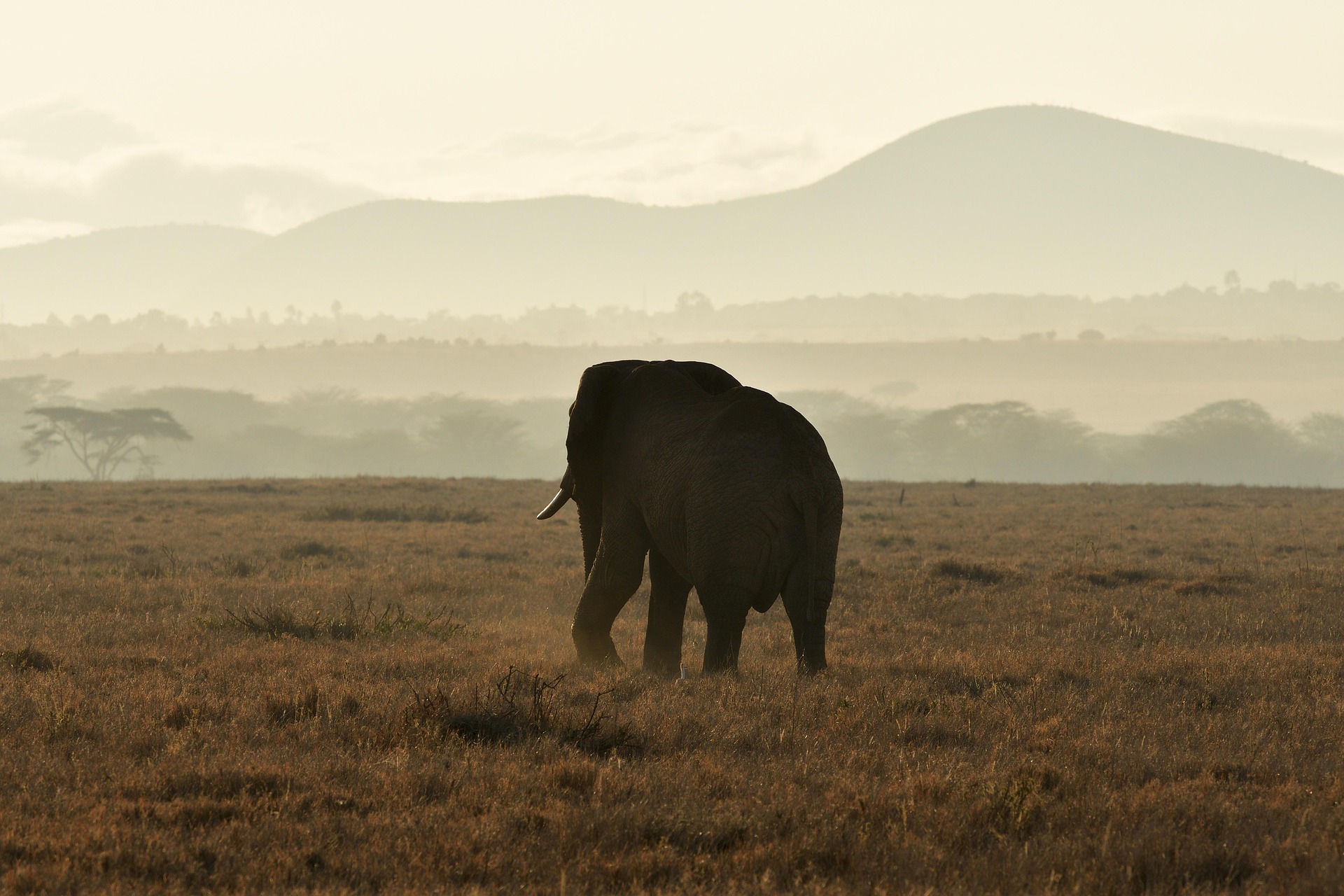 10 Reasons to Visit Masai Mara National Reserve