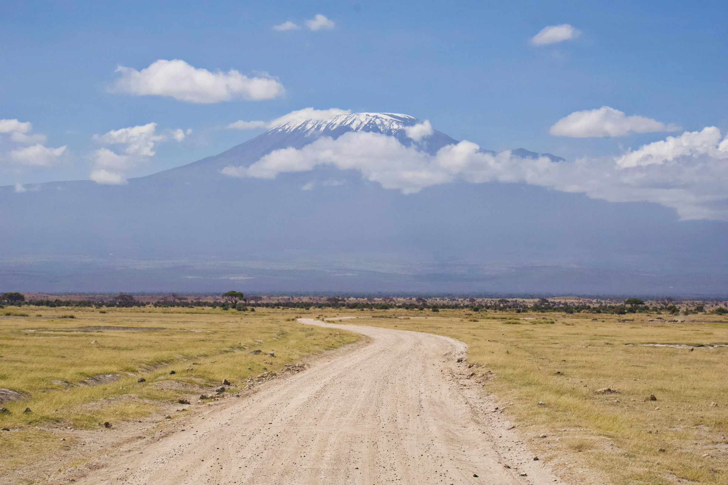 Amboseli vs Maasai Mara: Which Kenya Safari Destination Is Best for You in 2026?