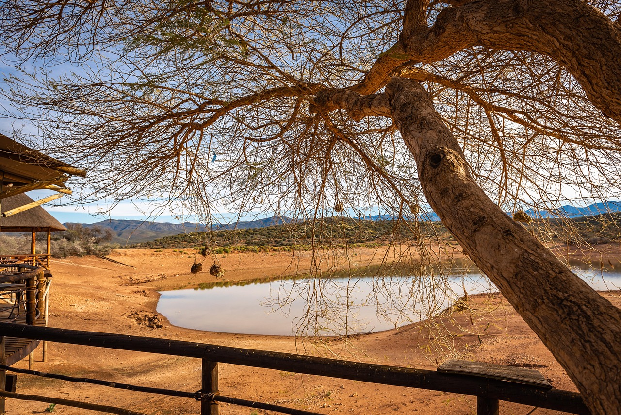 Best Lodges in Tsavo East National Park: Top Safari Lodges and Camps for 2026