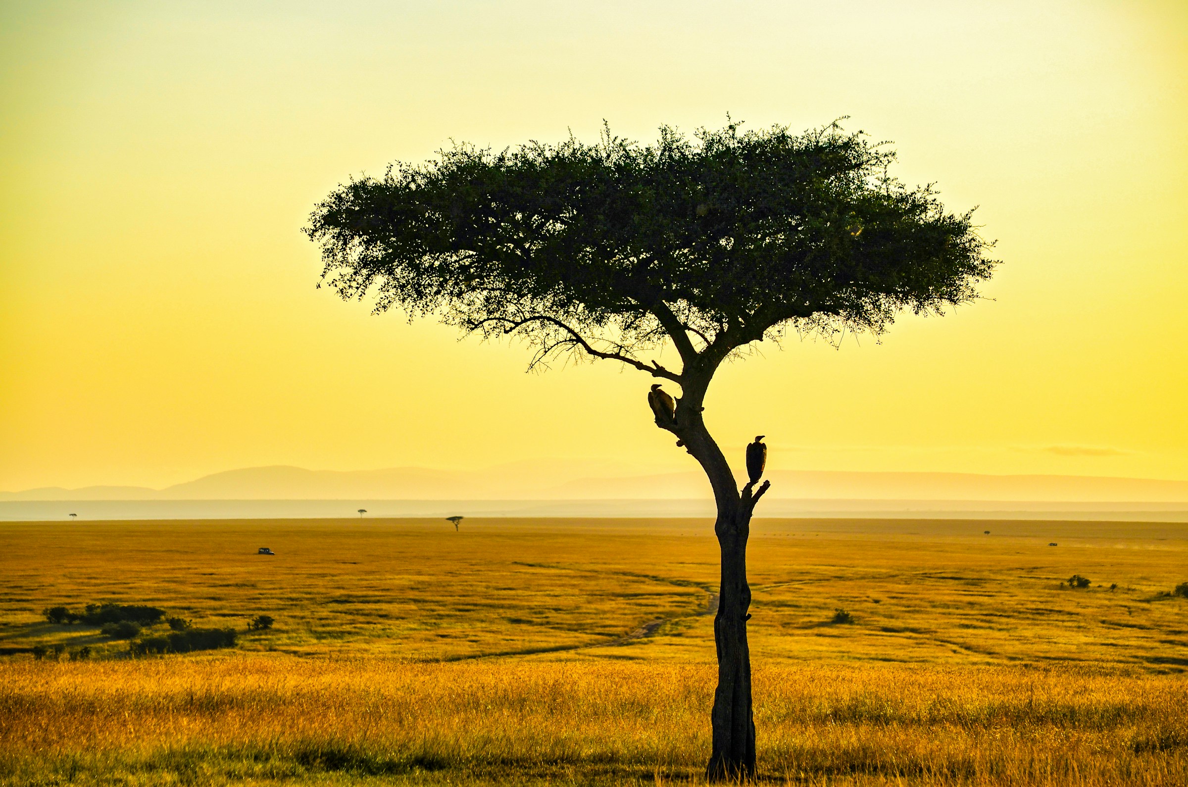 Time to Visit Kenya Month by Month: Complete Safari & Travel Guide 2026