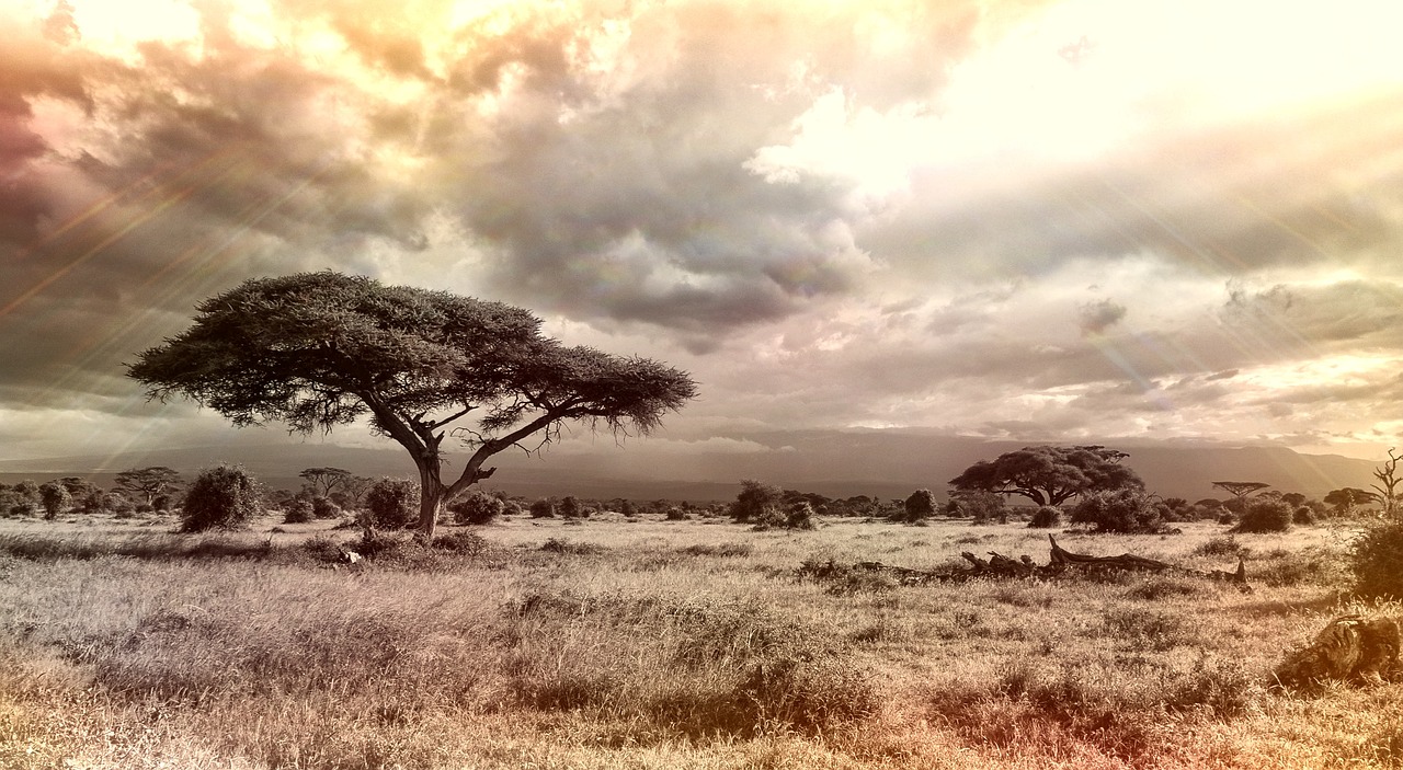 Kenya Safari for Australians: The Complete Guide to Planning Your African Adventure