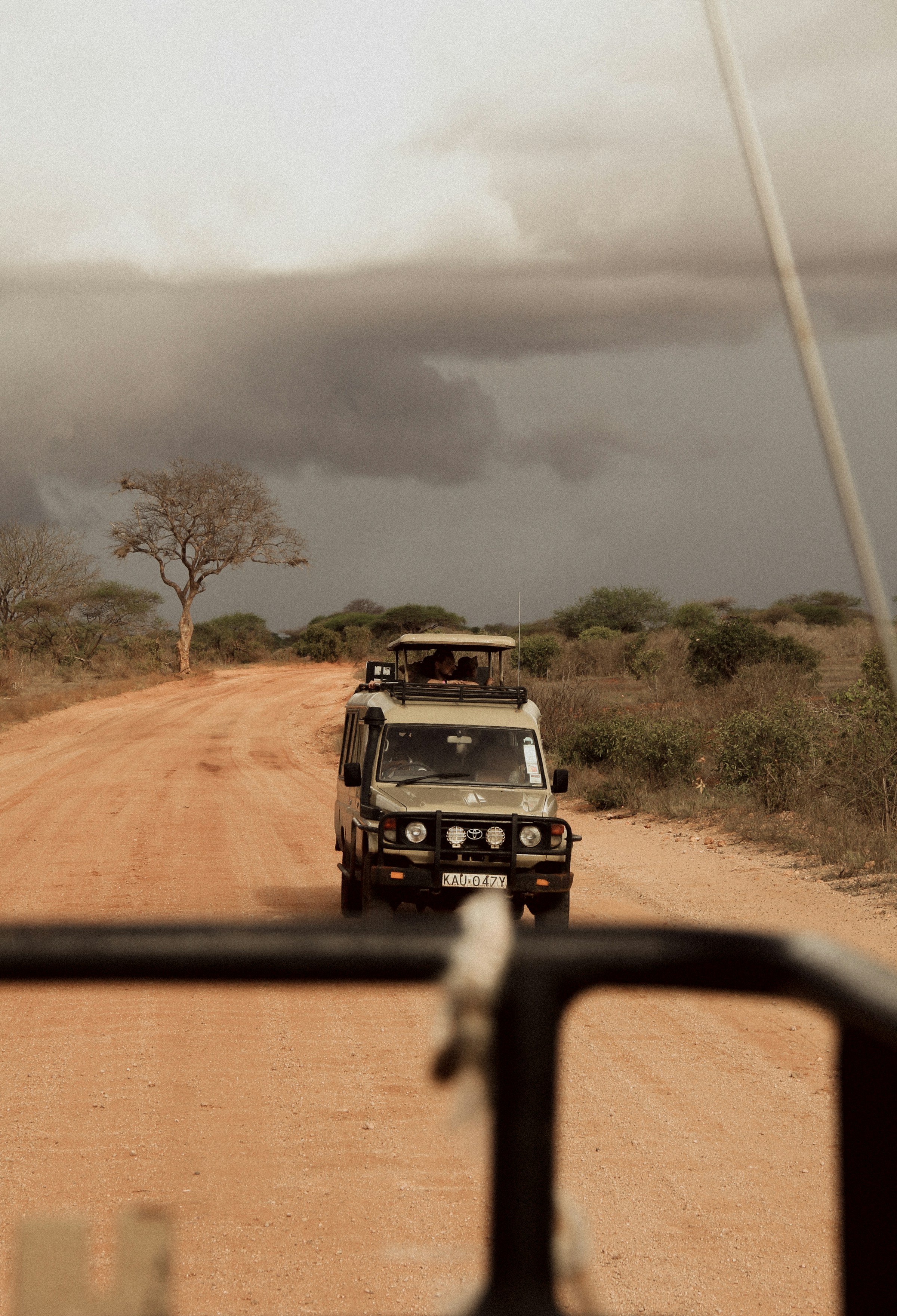Maasai Mara Safari Cost Guide 2026: Complete Breakdown of Safari Prices