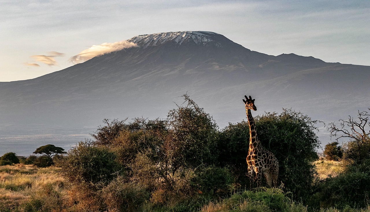 How Many Days Do You Need in Amboseli? Complete Safari Duration Guide for 2026