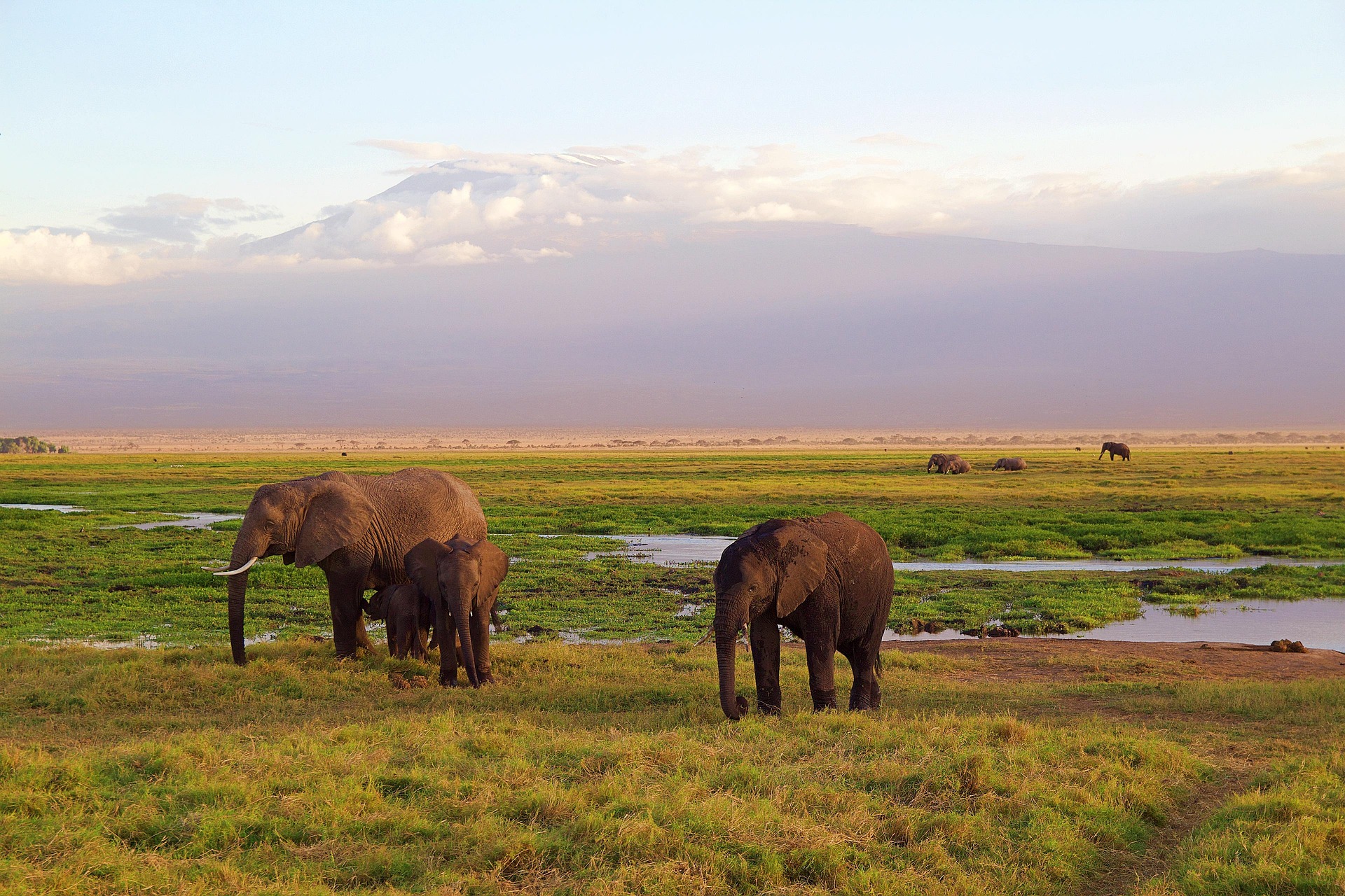 Complete Guide to Amboseli National Park