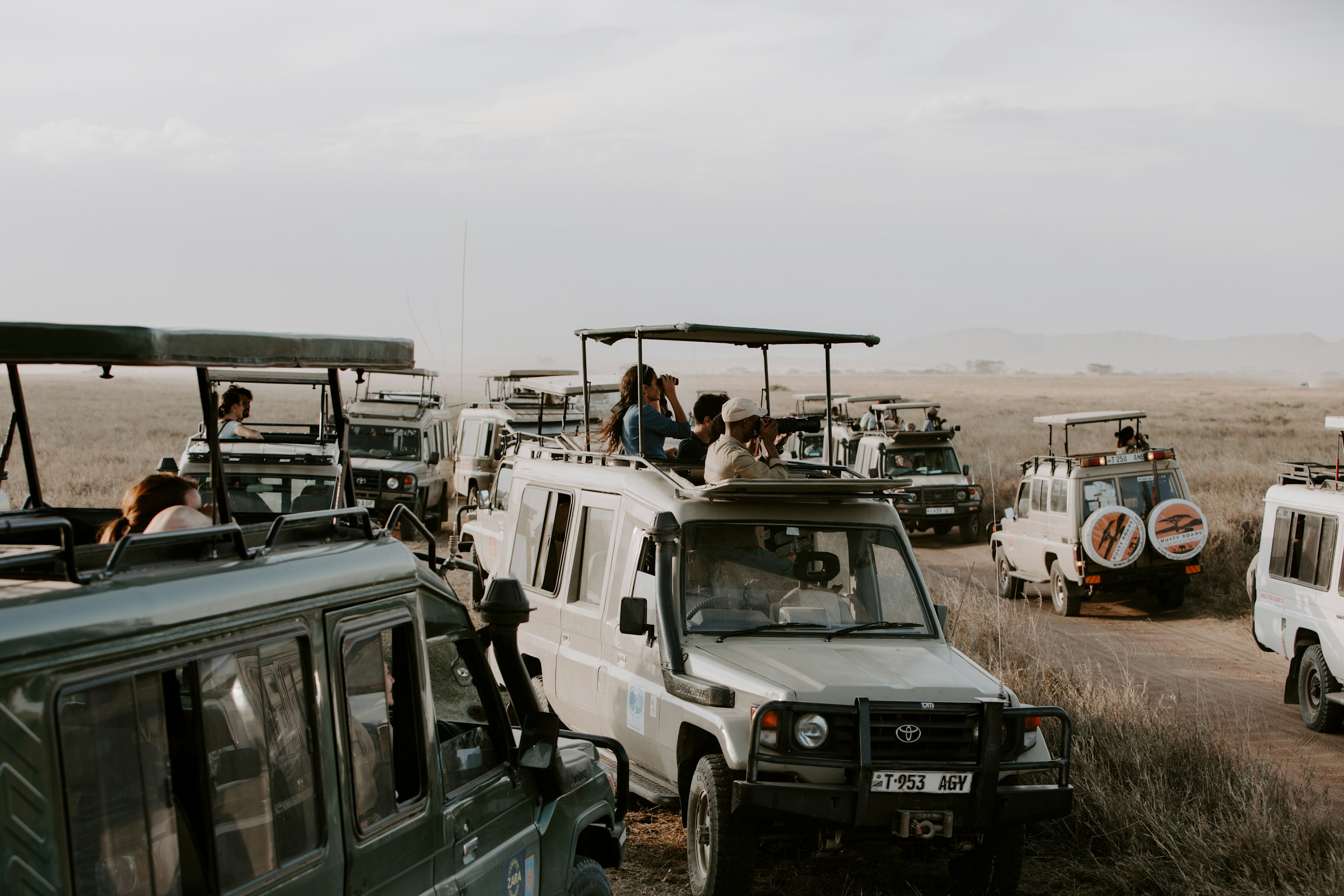 Private Safari vs Group Safari: Which Kenya Safari Option Is Right for You?