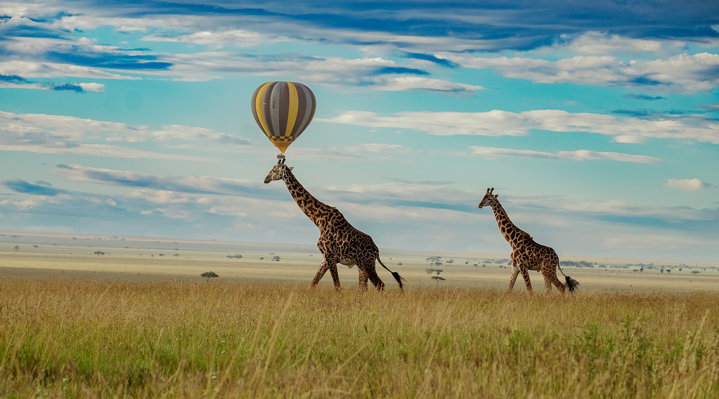 Kenya Safari Costs Explained (2026): How Much Does a Safari in Kenya Really Cost?