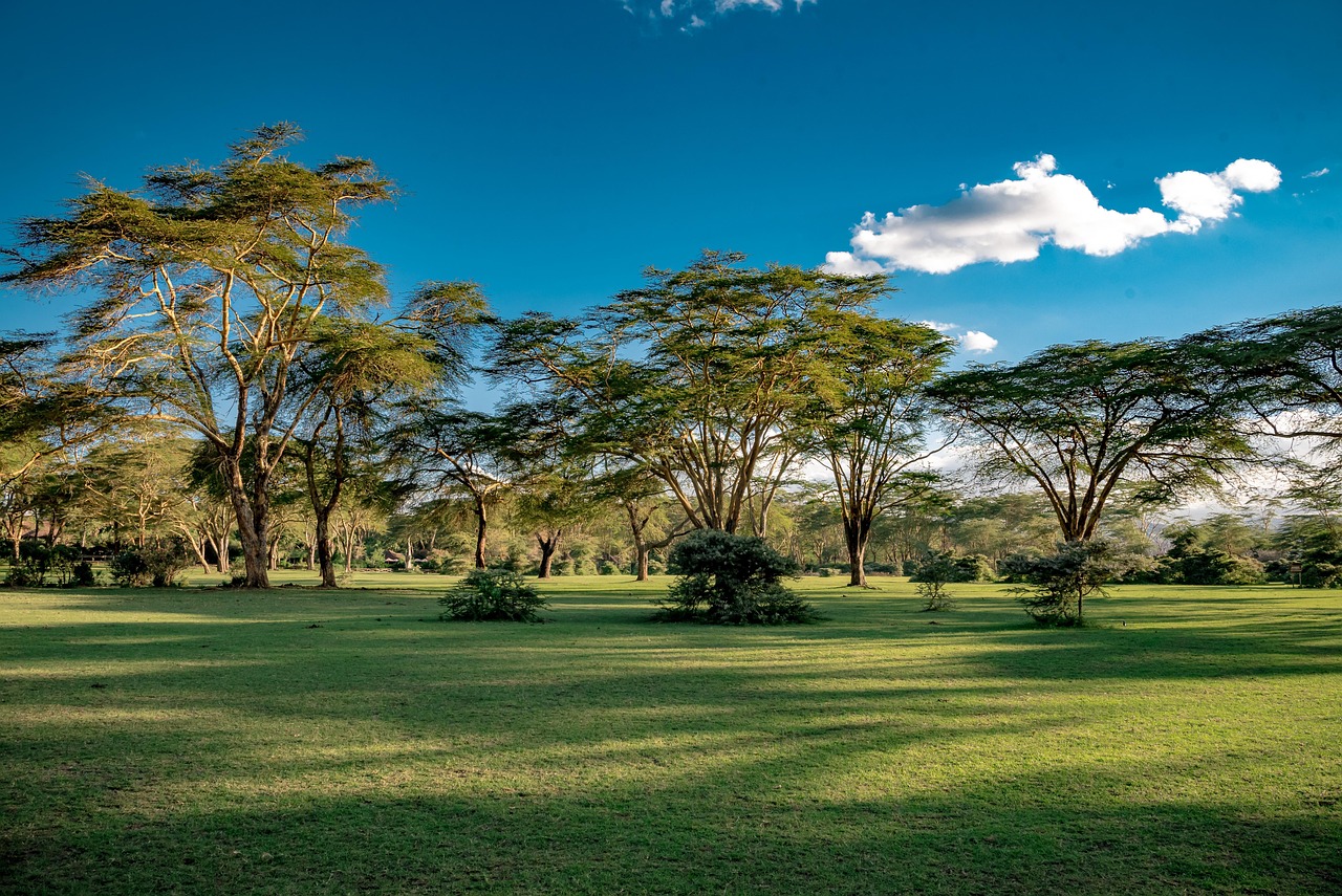 1-Day Crescent Island & Lake Naivasha Tour