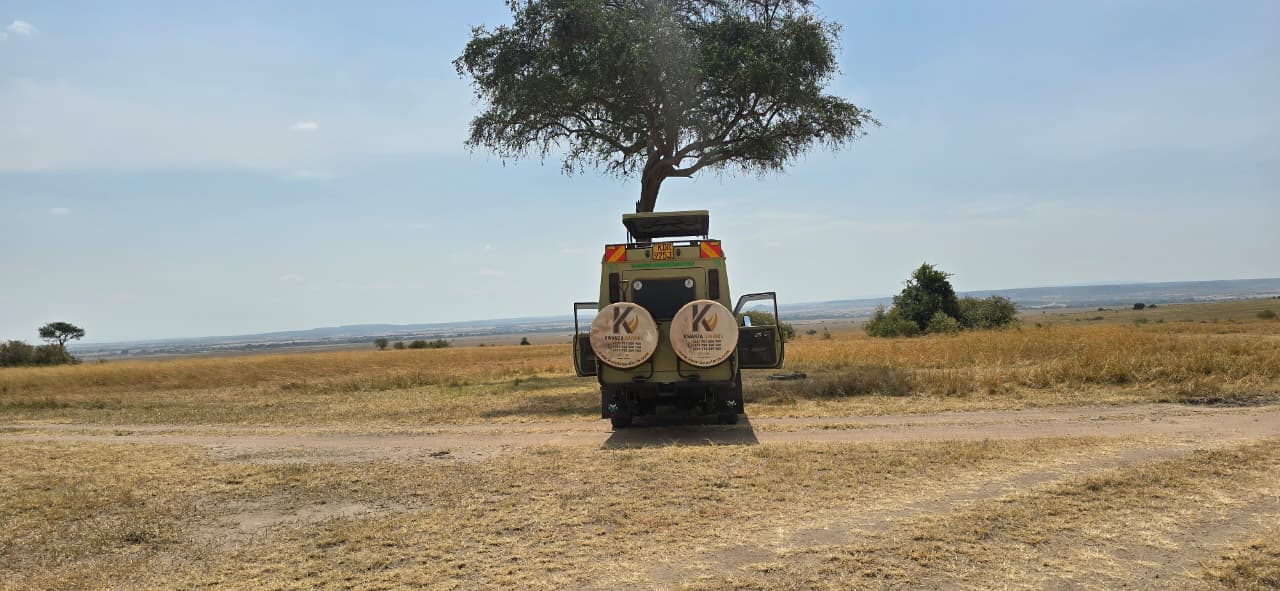 14-Day Kenya Safari & Diani Beach Holiday
